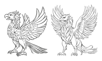 Fototapeta premium Outline drawing of a griffin with wings spread Vector design Heraldic Griffin Line Drawing Vector on White Background