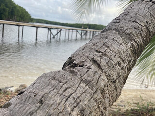 wooden boat bridge	
