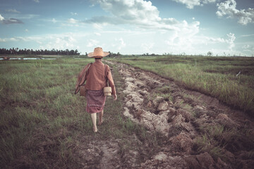 Woman Walking Alone on a Rural Path Through Green Fields Under a Cloudy Sky in the Countryside of Southeast Asia