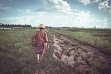 Woman in Traditional Attire Walking on Rural Pathway Surrounded by Lush Green Fields Under a Dramatic Sky with Clouds