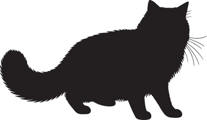 Ragdoll cat full image in silhouette image white background.