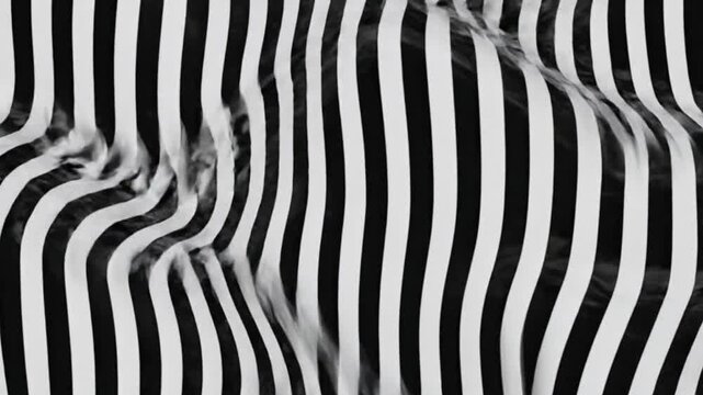 Vertically rippled black and white striped pattern resembling fabric or a visual illusion