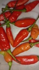 hot chili peppers
