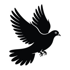 Fototapeta premium Black dove in flight silhouette bird flying