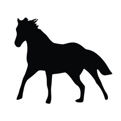 Bold Strokes – The Power and Grace of a Horse