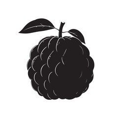  Sugar Apple Fruit fruit in silhouette image white backgrpound..