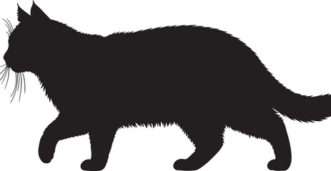 Turkish Van cat walking full image in silhouette image white background.