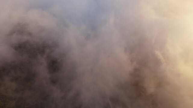 Drone video flying through dense clouds over forested mountain slopes in Spain, with treetops partially visible through mist.