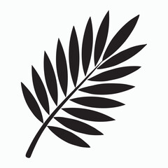 Fototapeta premium Elegant Palm Leaf Silhouette Against a White Background 