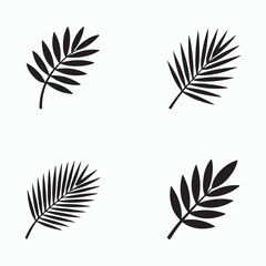 Black Palm Leaf Silhouettes on White Background