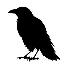 crow on a white background