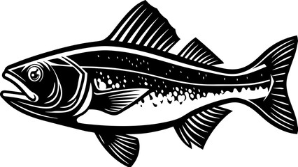 fish on a white background
