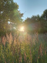 Nature, village, harvest, agriculture, sunset, sunrise, sky, landscape, flora, plants, road, summer, summer vacation, weekend, river, nature