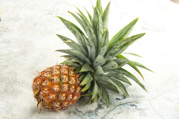 Tropical sweet exotic Pineapple fruit