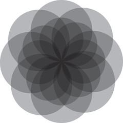 black and white round circle