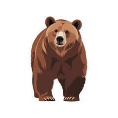 brown bear vector illustration