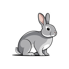 vector illustration of a rabbit