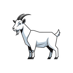 goat isolated on white background