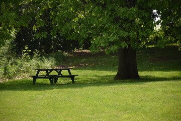 A table in the park in summer, Québec, Canada