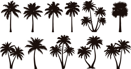 White Palm Tree Silhouette on Black