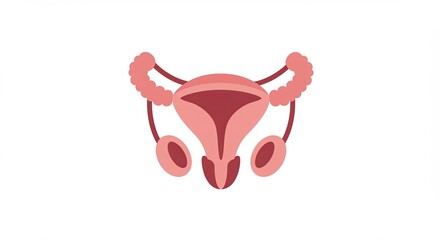 Uterus, Pink Human Female Reproductive System Illustration