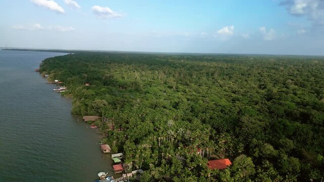 Beira do rio na floresta amaz&ocirc;nica de Bel&eacute;m, Par&aacute;