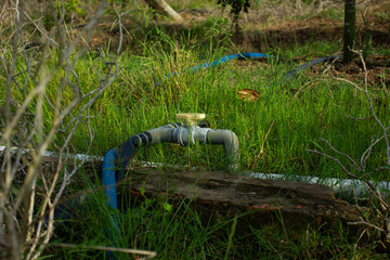 A water valve for an irrigation system in an overgrown garden. Concept of agriculture, gardening, and rural life