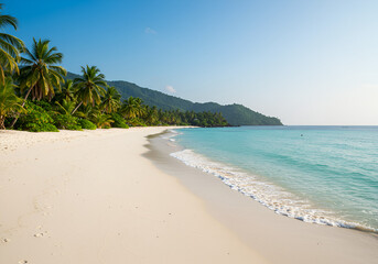Tropical Island with White Sandy Beach and Coconut Trees