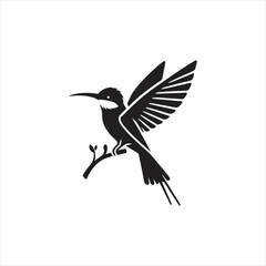 Colorful Bee-Eater Silhouette Vector Art – Sleek Insect-Catching Bird with Long Tail and Curved Beak, Minimal Black Outline Perfect for Tropical Wildlife Graphics, Nature Logos, and Decorative Prints
