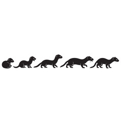 Vector silhouette of ferret