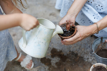 Child watering plants from a watering can. Green garden, greenhouse, summer