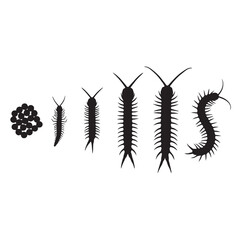 Centipede silhouette vector
