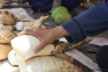 Old man's hands work on wood, cutting food with a knife
