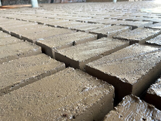 Freshly Molded Clay Bricks Drying in Rows