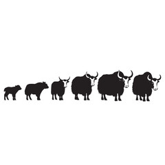 Yak silhouette