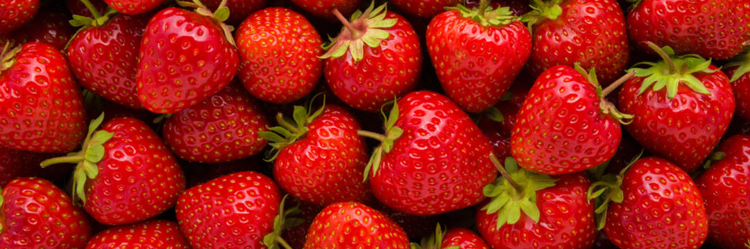 Red bright strawberries background. Fresh berries. Wide banner. Closeup. Top down view. - Powered by Adobe