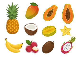 Vector art of tropical fruits pineapple mango papaya coconut starfruit dragon fruit bananas rambutan sapodilla