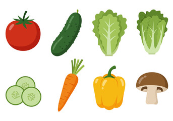 Vegetables illustration tomato cucumber lettuce carrot pepper mushroom