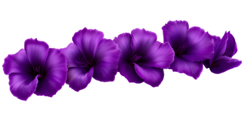 Row of Four Vibrant Purple Flowers on Transparent Background