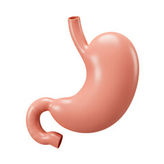 Illustration of a human stomach isolated on transparent background, showcasing its anatomy, digestive system, and relevance to health and medical concepts