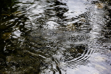 Raindrops creating ripples on water surface, Germany, Augsburg, 21 July 2025