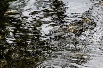 Raindrops creating ripples on water surface, Germany, Augsburg, 21 July 2025