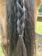Horse Tail Braid