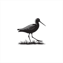 Elegant Godwit Silhouette Vector Art – Long-Legged Shorebird with Straight Beak, Minimal Black Outline Perfect for Coastal Wildlife Themes, Nature Logos, Wetland Illustrations, and Decorative Prints
