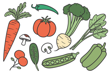 Collection of colorful hand drawn vegetables and mushrooms on white background