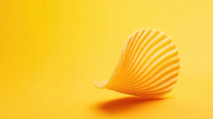Fototapeta premium Seashell shaped potato chip
