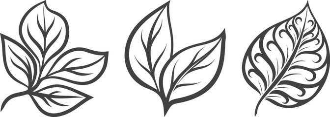 Leaf set vector icon illustration, simple black and white line art, minimalist botanical symbols, clean design for nature, environment, and organic projects