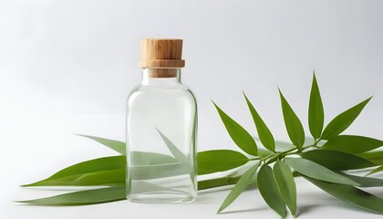 Apothecary glass bottle with a cork stopper and fresh green leaves, a concept for natural beauty products and aromatherapy on a white background.