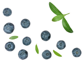 Blueberries isolated on a white background, top view
