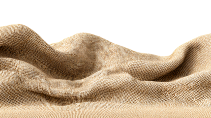 Woven Jute Fabric with Textured Surface and Soft Draping